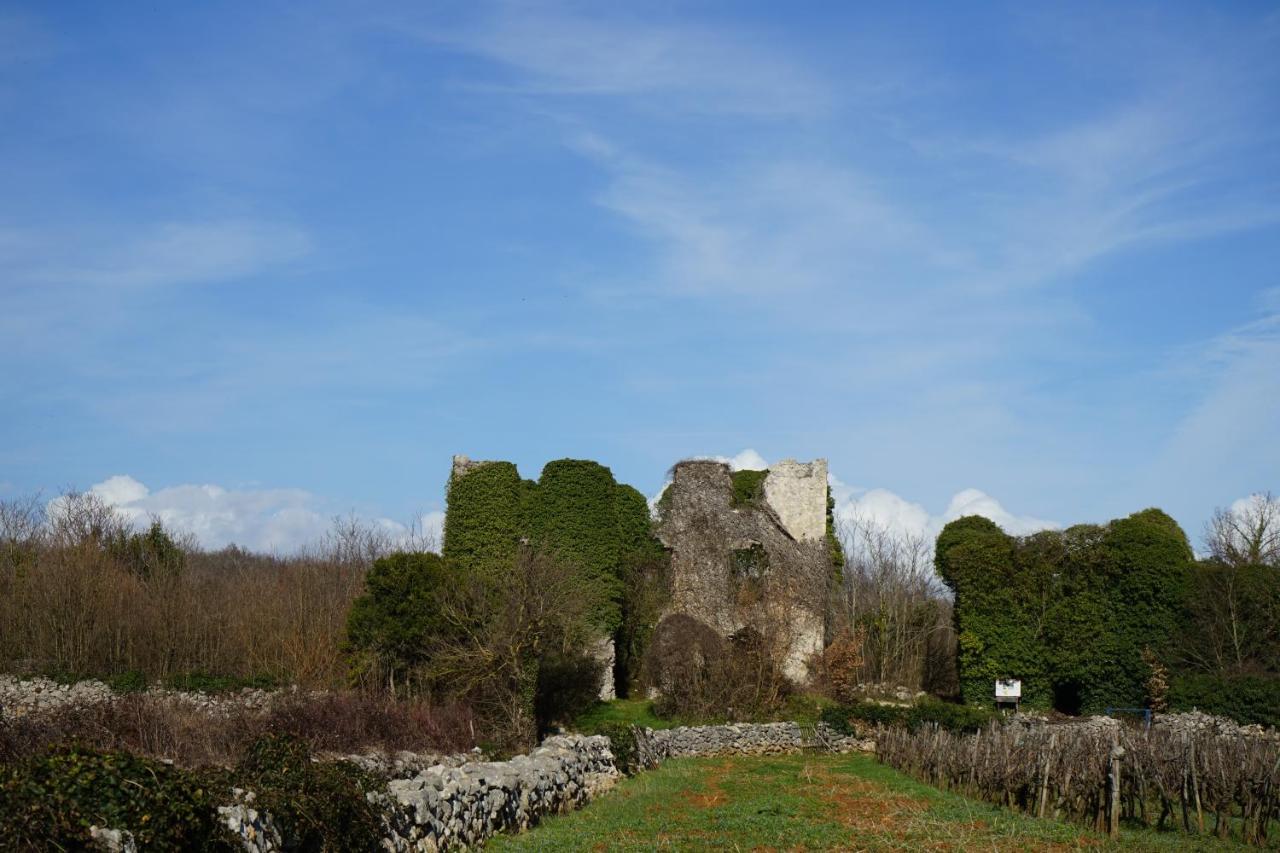 Villa Diny With Pool Pinezici  Exterior photo